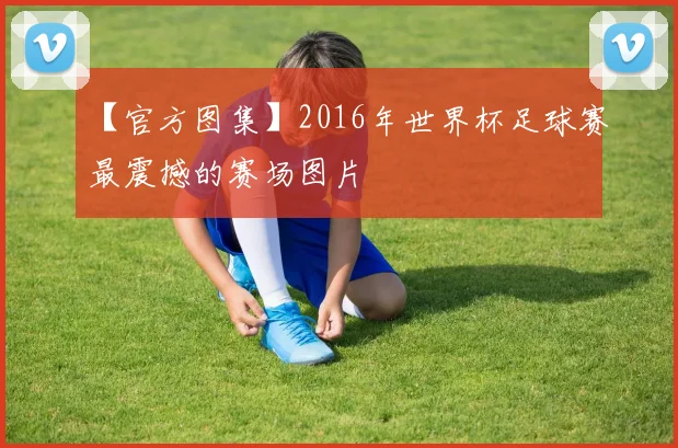 【官方图集】2016年世界杯足球赛最震撼的赛场图片