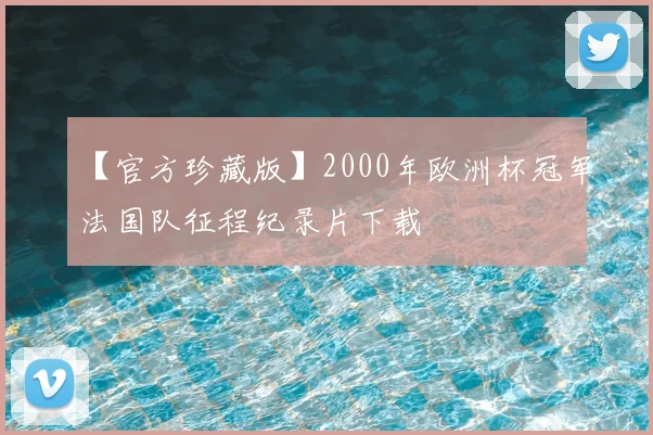 【官方珍藏版】2000年欧洲杯冠军法国队征程纪录片下载