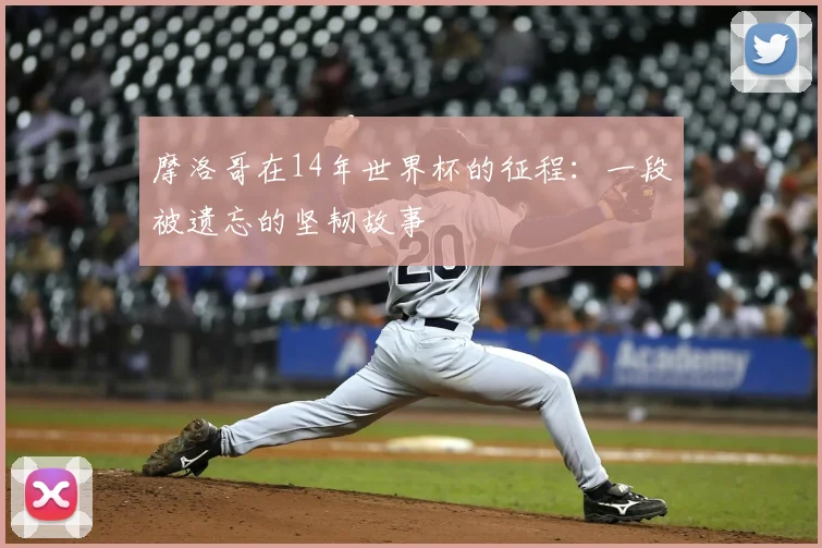 摩洛哥在14年世界杯的征程：一段被遗忘的坚韧故事