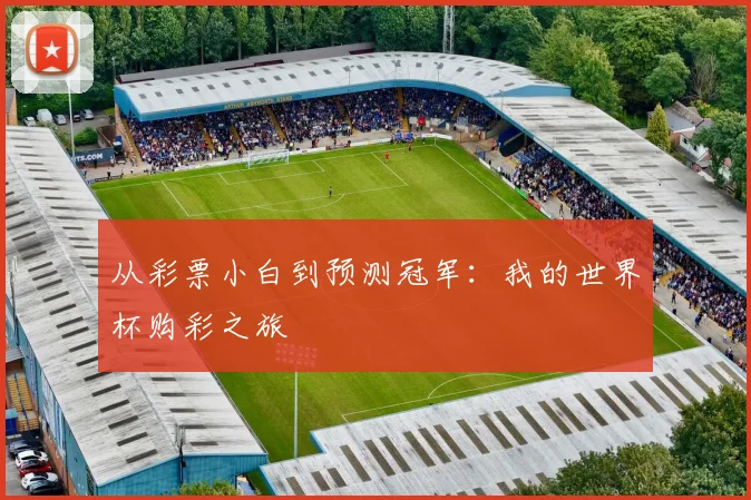 从彩票小白到预测冠军:我的世界杯购彩之旅